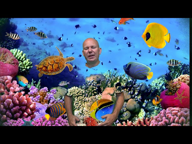 Greenscreen