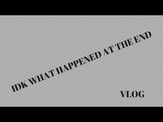 IDK WHAT HAPPENED AT THE END | VLOG