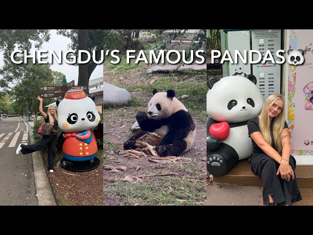 A Day in Chengdu 🇨🇳 | Visiting the Pandas 🐼, Bamboo Towers & Karaoke Night