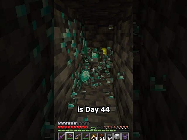 Diamond Challenge Day 44 #minecraft