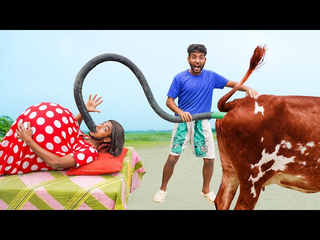 Funniest New Comedy Video 2026 😂 Amazing Best Funny Video | Episode 01 | Bidik Fun TV