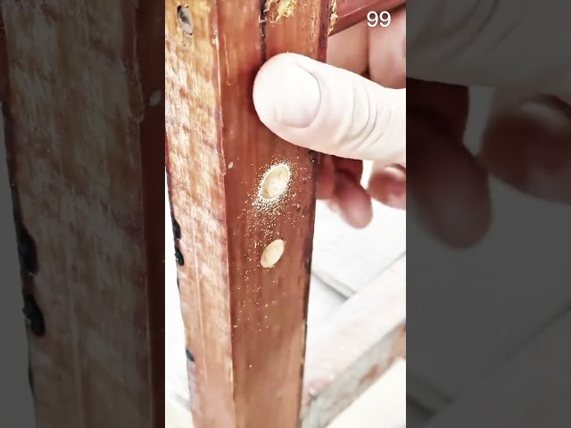 trowel spreads plaster smoothly near a wall outlet #plastering #construction
