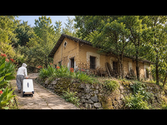 After Years In City, I Returned Home To Restore An Abandoned Old House Into A Peaceful Haven