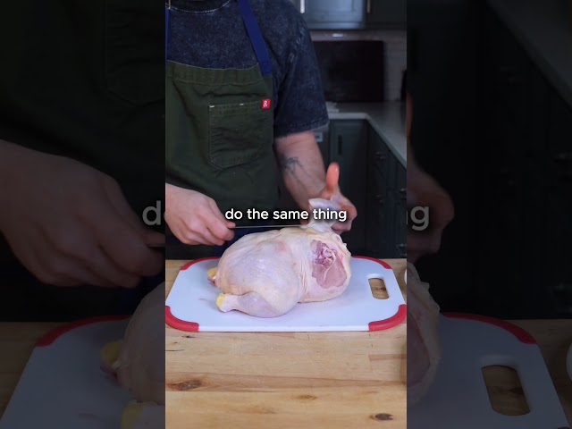 Chicken 101 🐓