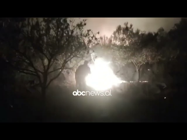 Rëndohet situata nga zjarri në fshatin Galush të Peqinit, era favorizon përhapjen e flakëve