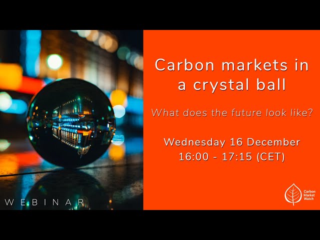 Carbon markets in a crystal ball: what does the future look like?