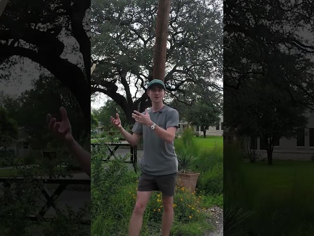 Plants Still Thrive in This Hostile Spot