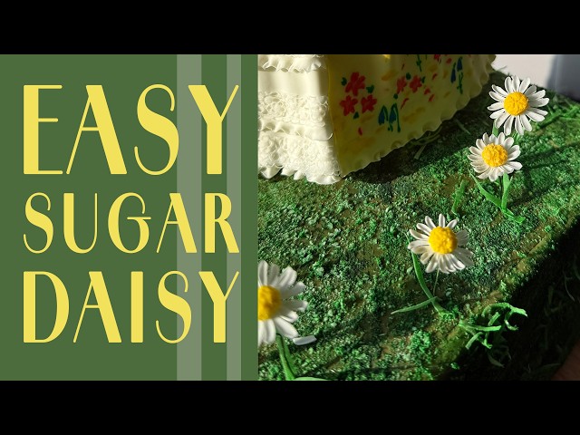 Easy Gumpaste Daisy Tutorial | Sugar Flower Tutorial
