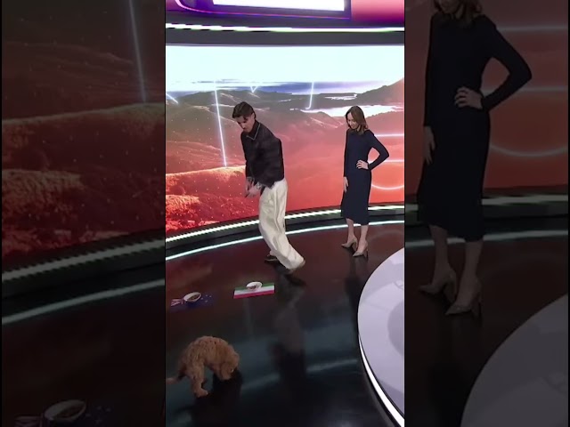When animal World Cup game predictions go wrong 😅💩 (via breakfaston1/IG)