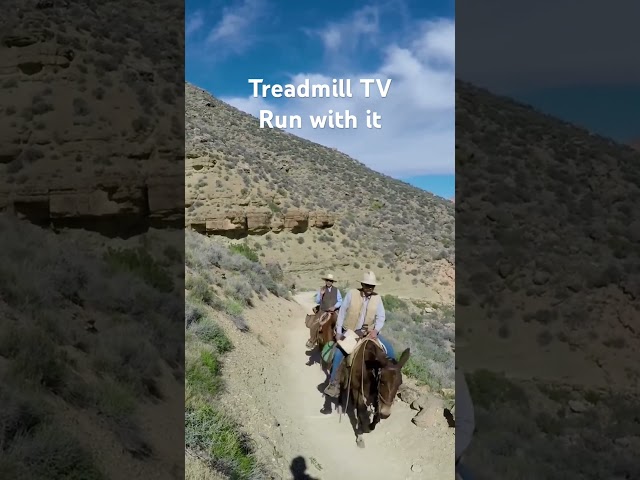 Cowboys in Grand Canyon National Park