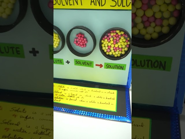 3D Solute Solvent Solution Project: Step-by-Step Guide | Easy Science Fair Project: Chemistry Model