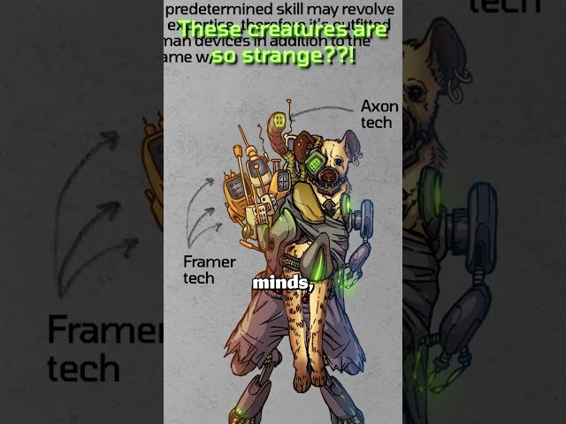 What kind of GAME lets you play as THESE??