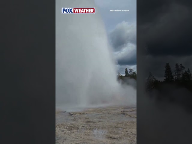 🌋 GEYSER VIEWS: The Second-Tallest Geyser In Yellowstone National Park Was On Full Display