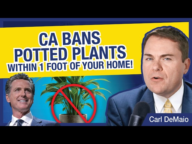 INSANE: CA Bans Potted Plants Within 1 Foot of Your Home!