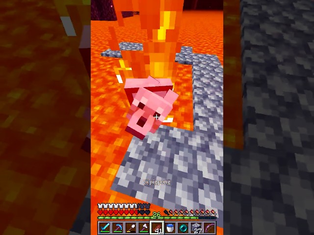 Anything for Minecraft Dog ❤️