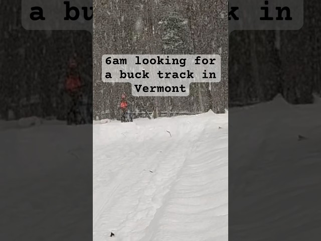Looking for a buck track in Vermont.  #hunting #tracking #Vermont #ebikes #orangearmy #whitetails