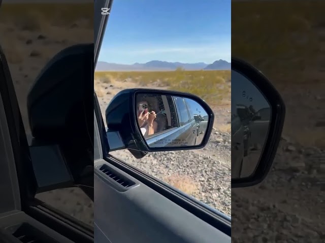 FORMULA ONE DRIVER GET A SPEEDING TICKET