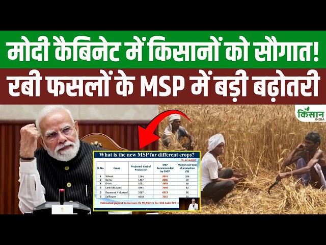 Central Government Hikes MSP for 6 Rabi Season 2027-28 Crops, Wheat Price at 2610 Rupees! Modi Ca...