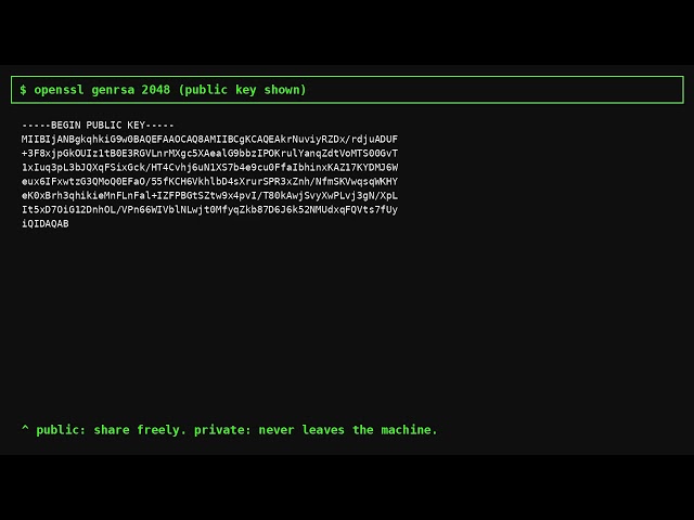 DevOut Jr Ep10: How HTTPS Actually Protects You (Real RSA Encryption Demo)