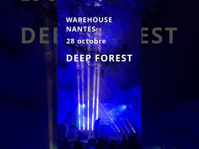 DEEP FOREST LIVE — Warehouse Nantes — 28 October 2026