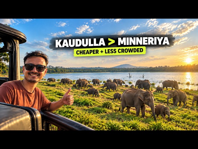 Skip Minneriya, Do Kaudulla National Park | Sri Lanka Elephant Safari on a Budget
