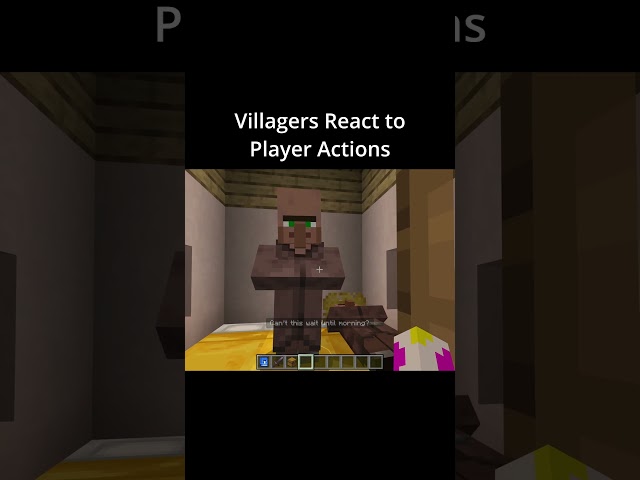 Villager News Add-on for Minecraft Bedrock#minecraft #gaming #games #villagernews #memes