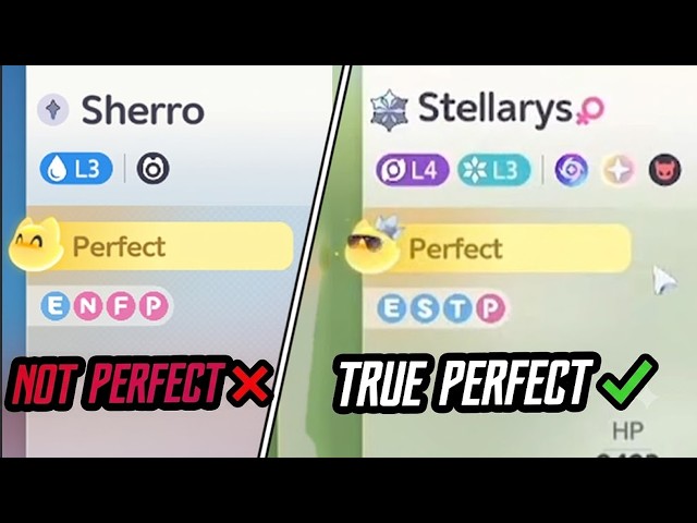 Is Your Perfect Aniimo ACTUALLY Perfect? (Ultimate Endgame Guide) - Aniimo