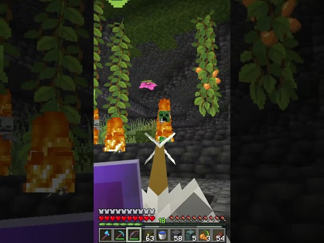oops...  #minecraft #mining #gaming #diamond #minecraftmemes