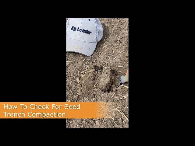 How To Check For Seed Trench Compaction