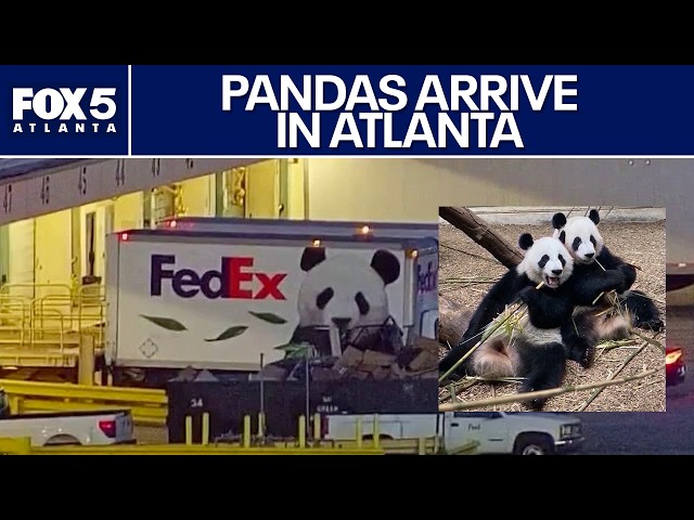 Giant pandas Ping Ping and Fu Shuang arrive in Atlanta | FOX 5 News