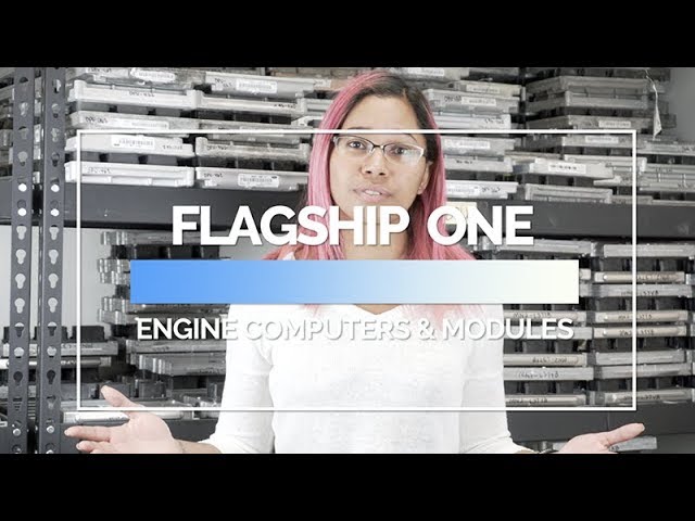 Welcome to Flagship One, Inc. OEM Engine Computer (PCM/ECM/ECU Modules) Supplier