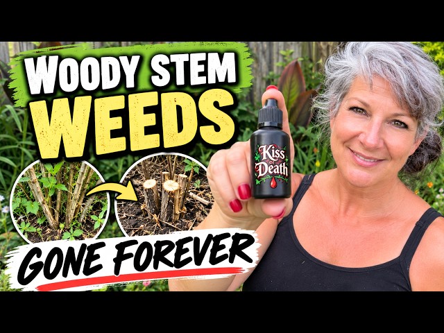 Woody Weeds Gone For Good!