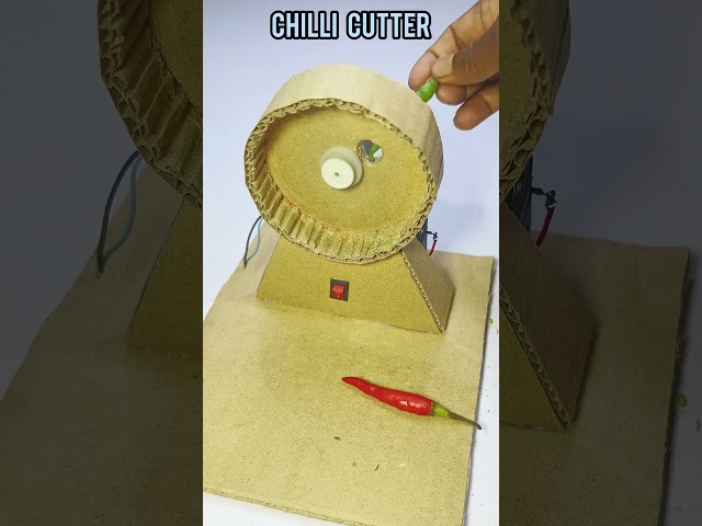 Chilli cutting tool diy 🌶️ #chilimachine #dcmotor #youtubeshorts #diy #shorts