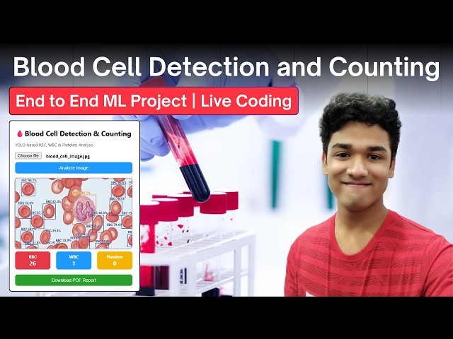 Blood Cell Detection & Counting using YOLOv11 🩸 | Machine Learning Computer Vision Project