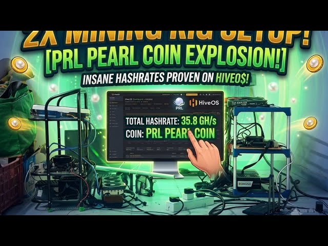 Mining PRL Pearl Coin with Dual Rigs! HiveOS Dashboard & Hashrate Revealed