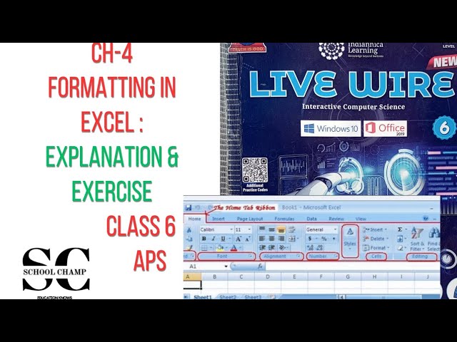 Computer chapter 4 Formatting in excel class 6th APS/exercise and explaination chapter 4 for class 6