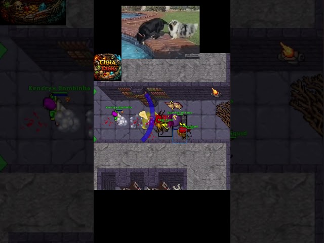 Friendship is for friends #tibia #tibiabr #tibiaclips #tibiagame #tibiashorts