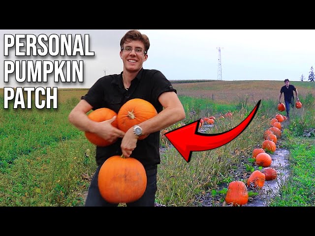 A Pumpkin Garden Harvest to Drink Your Pumpkin Spice Latte To