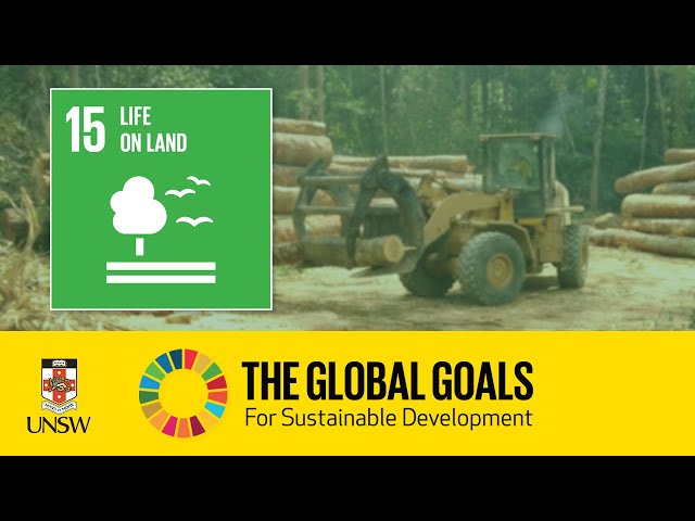 Sustainable Development Goal 15 - Life on Land - Tracey Rogers