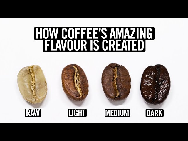 Coffee Roasting Explained
