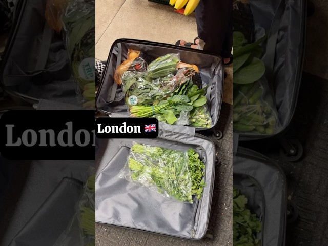 Crazy Idea Of Groceries Shopping in London🤣