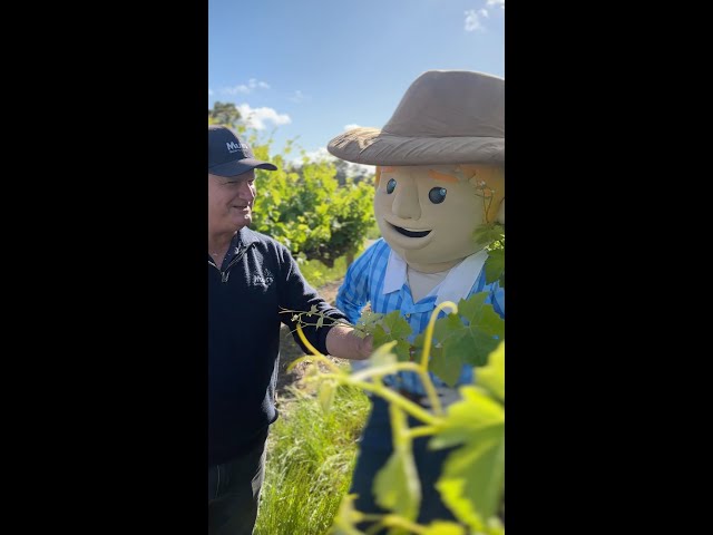 Happy National Ag Day!