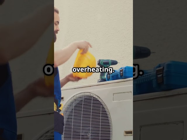 Fridge Not Cooling – Miami Heat or Appliance Fail? #zapfixers #appliancerepair#miamirepair