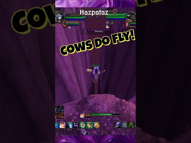 POV: The Priest Was Never There!  #worldofwarcraft #classicwow #tbc #tbcanniversary #wowpvp