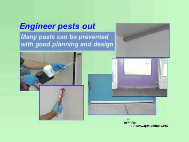 IPM in Schools - What is IPM and Why Use It?