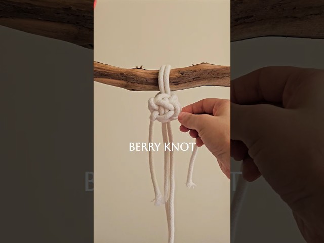 Berry Knot with Square Knot #macrametutorial #macrame #diy #knot #handmade #handknotted #basicknot