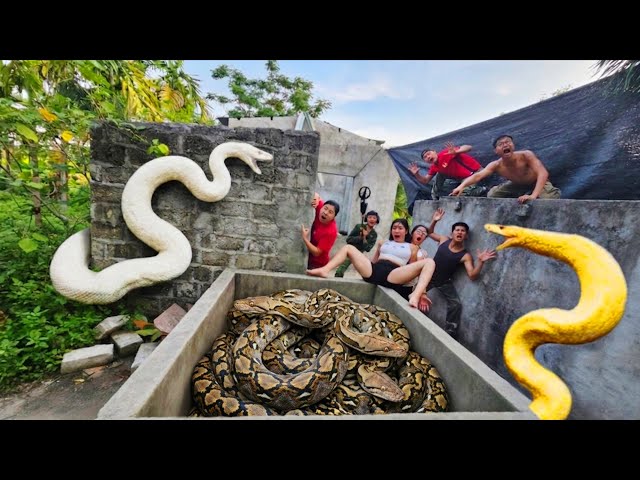 Brave Experts Use High-Tech Snake Detector to Locate Giant Python Nest