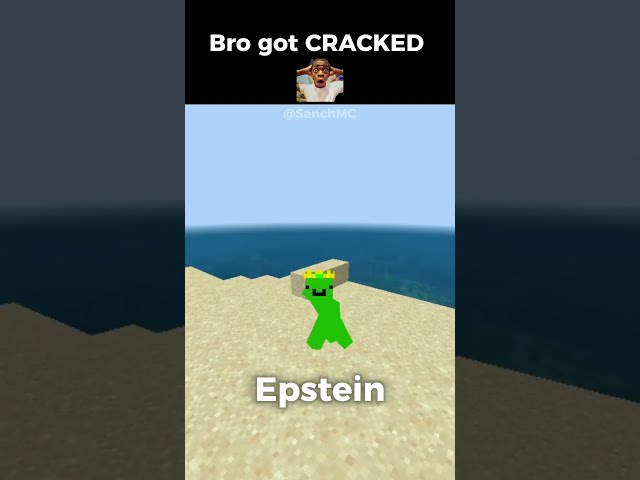 Minecraft but I get CRACKED by Epstein