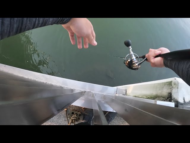 Fishing at Marina Reservoir (1)