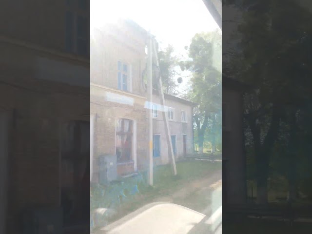 Мозырь-Новый Калининградская область